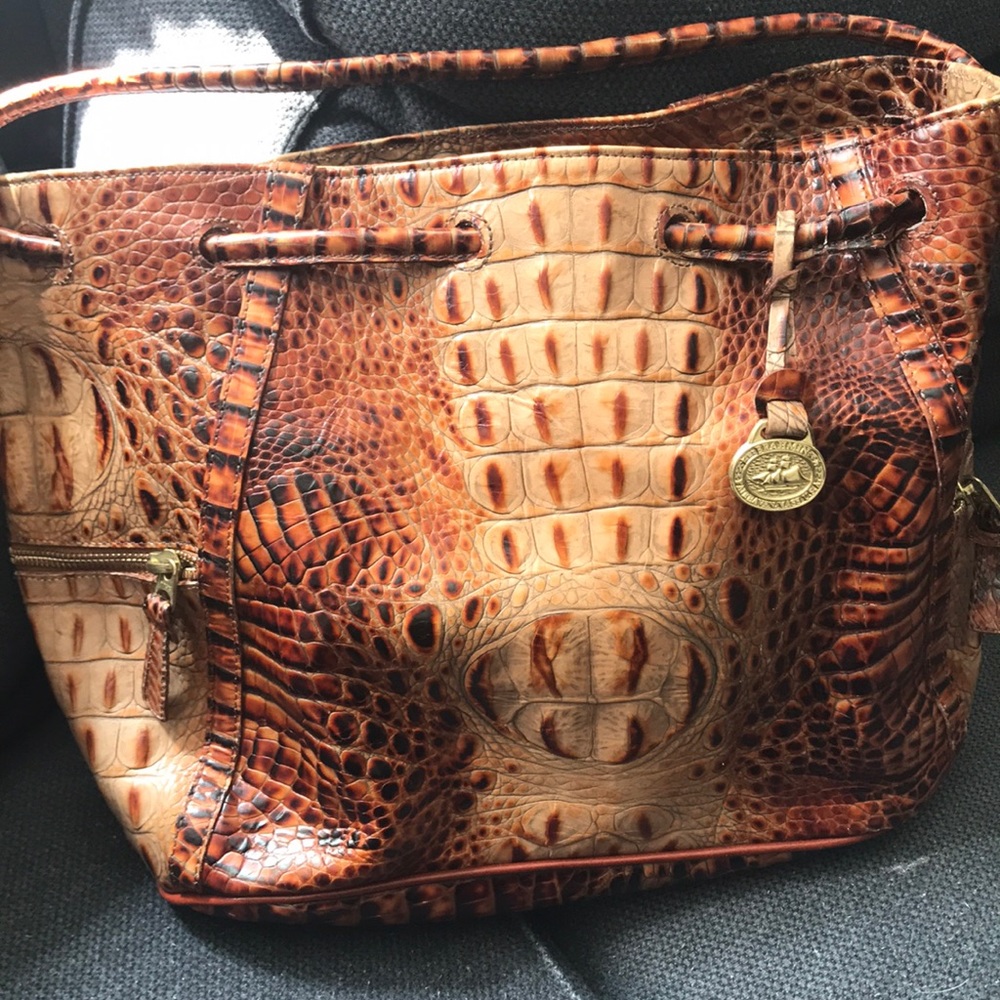 Crocodile Brahmin bag